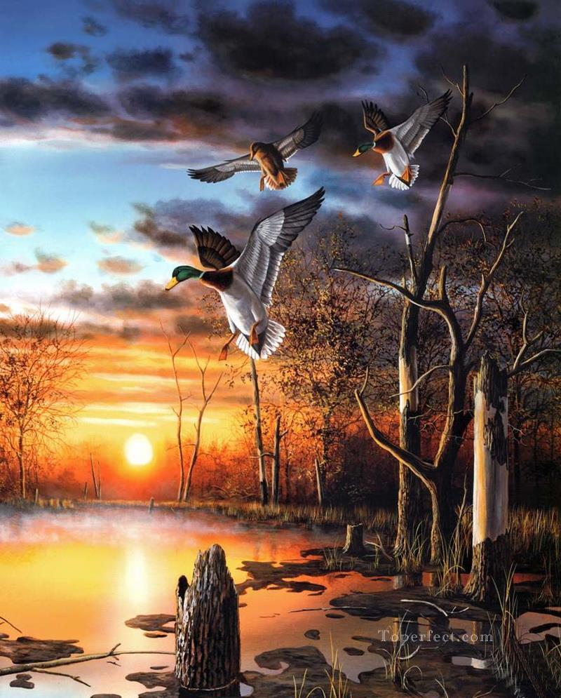 Anas platyrhynchos in sunset scenes birds Oil Paintings